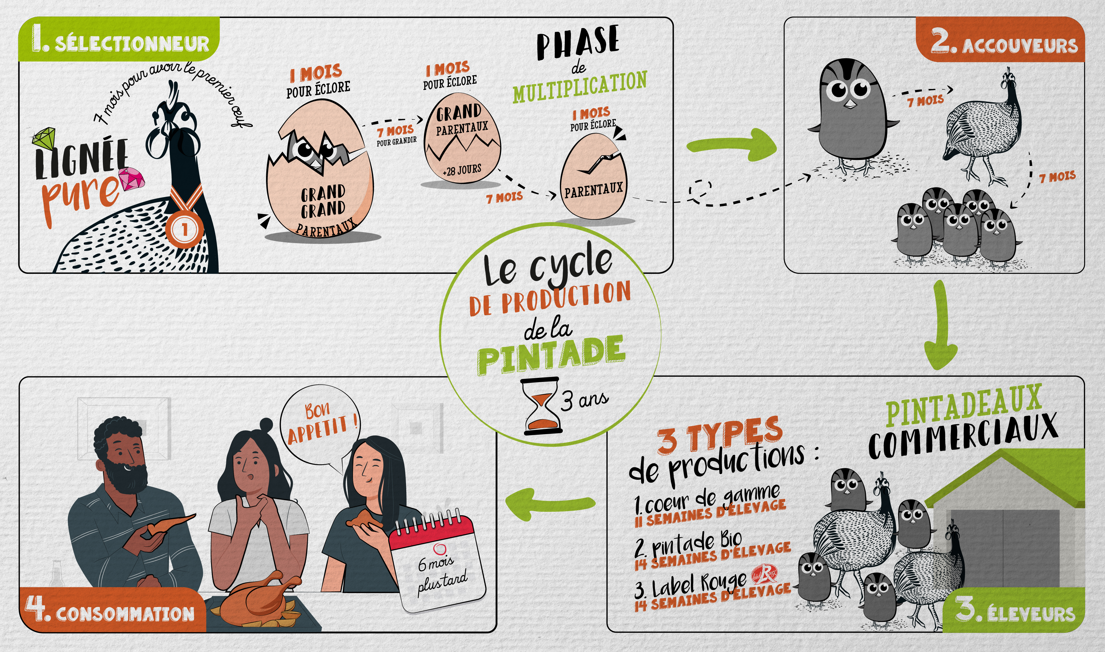 INFOGRAPHIE