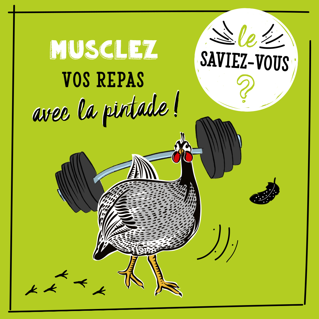 musclez vos repas avec la pintade