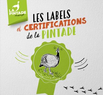 Labels et certifications dans la filière de la pintade : la garantie d’une production qui contribue à préserver la planète 