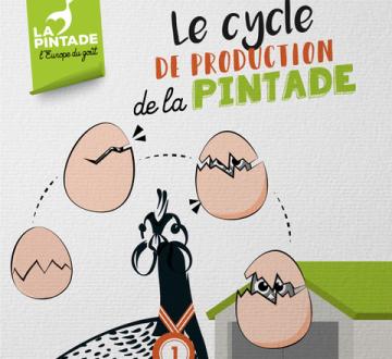 Le cycle de production de la pintade
