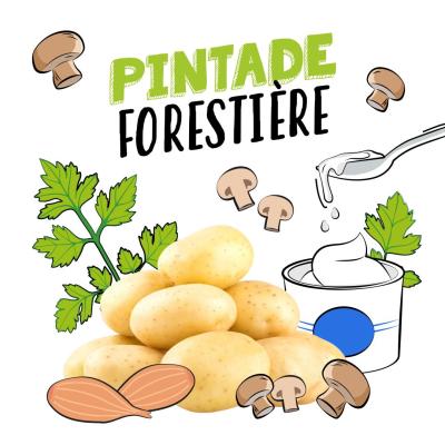 Pintade forestière