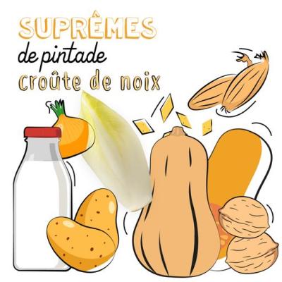 Suprêmes de pintade, croûte de noix, endives, purée de butternut